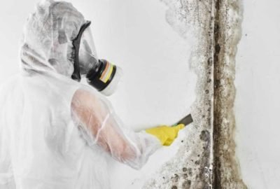 mold-remediation-services-1-700×350 mold-remediation-services-1-700x350